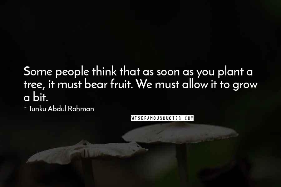 Tunku Abdul Rahman quotes: Some people think that as soon as you plant a tree, it must bear fruit. We must allow it to grow a bit.