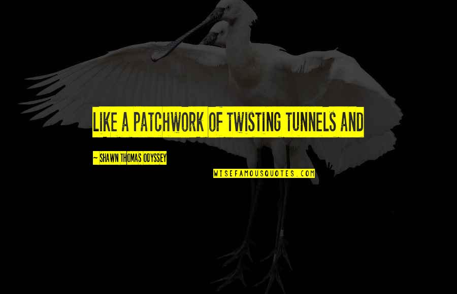Tunnels Quotes By Shawn Thomas Odyssey: like a patchwork of twisting tunnels and