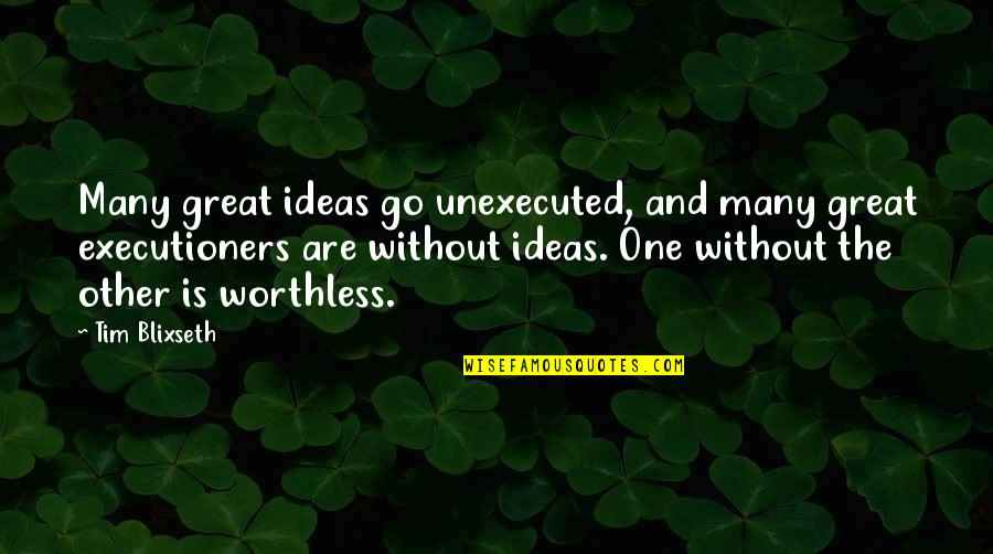 Tunnicliffe Quotes By Tim Blixseth: Many great ideas go unexecuted, and many great