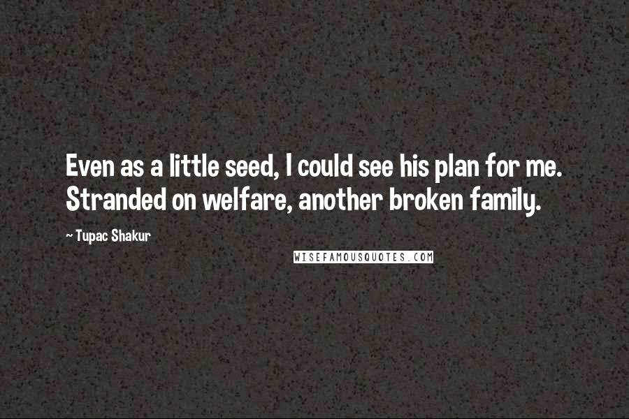 Tupac Shakur quotes: Even as a little seed, I could see his plan for me. Stranded on welfare, another broken family.