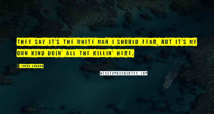 Tupac Shakur quotes: They say it's the white man I should fear, But it's my own kind doin' all the killin' here.