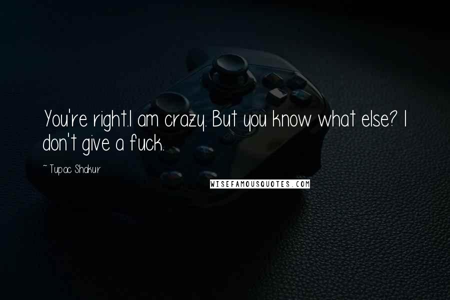 Tupac Shakur quotes: You're right.I am crazy. But you know what else? I don't give a fuck.