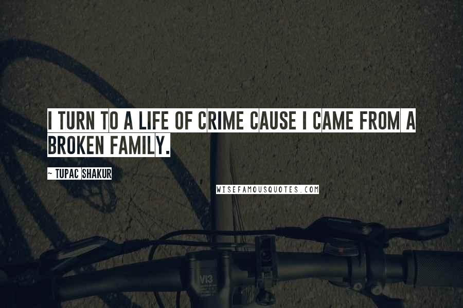 Tupac Shakur quotes: I turn to a life of crime cause I came from a broken family.