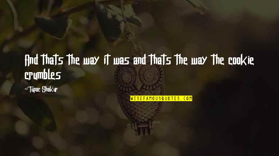 Tupac Thug Quotes By Tupac Shakur: And thats the way it was and thats