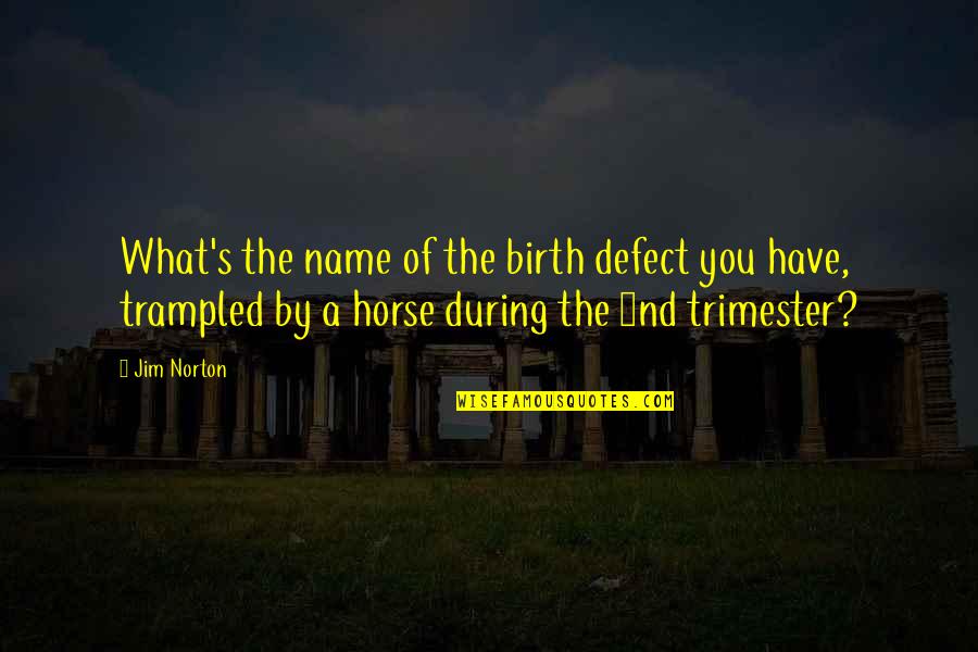 Tuppence Quotes By Jim Norton: What's the name of the birth defect you Tuppence Quotes By Jim Norton: What's the name of the birth defect you