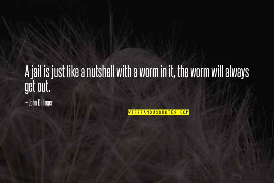 Turbada Significado Quotes By John Dillinger: A jail is just like a nutshell with