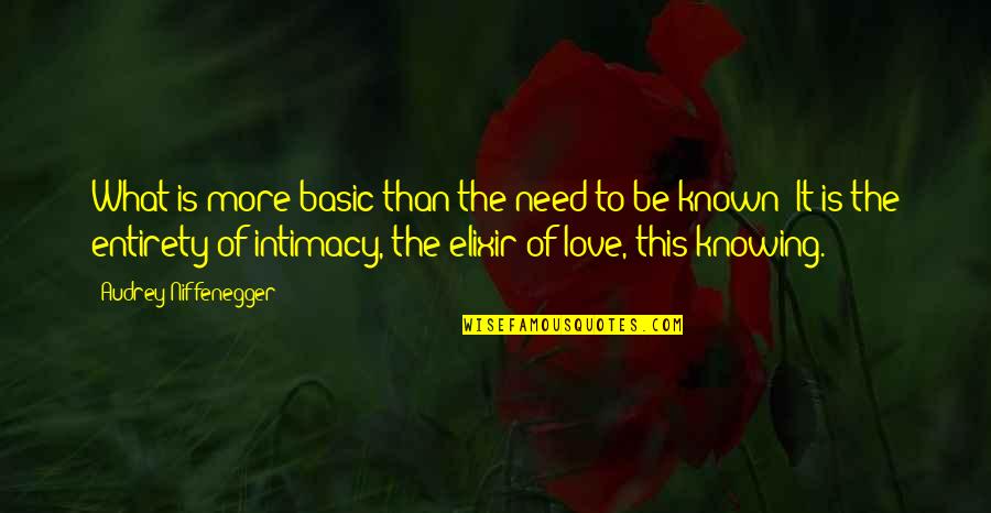 Turbilhonar Quotes By Audrey Niffenegger: What is more basic than the need to