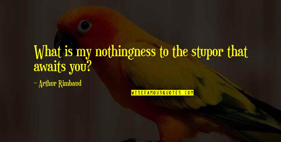 Turbo Tito Quotes By Arthur Rimbaud: What is my nothingness to the stupor that Turbo Tito Quotes By Arthur Rimbaud: What is my nothingness to the stupor that
