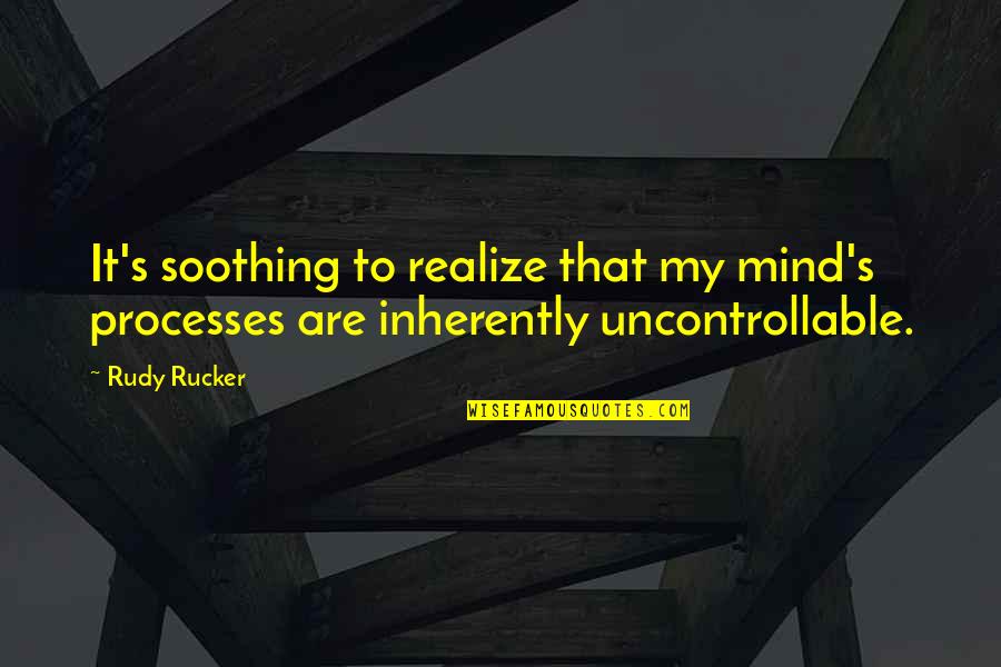Turbotenant Quotes By Rudy Rucker: It's soothing to realize that my mind's processes