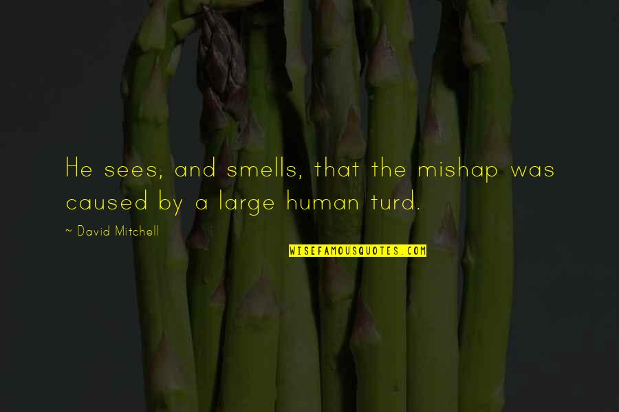 Turd Quotes By David Mitchell: He sees, and smells, that the mishap was