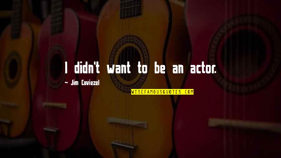 Turduckens Quotes By Jim Caviezel: I didn't want to be an actor. Turduckens Quotes By Jim Caviezel: I didn't want to be an actor.