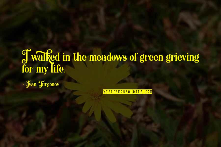 Turgenev Quotes By Ivan Turgenev: I walked in the meadows of green grieving