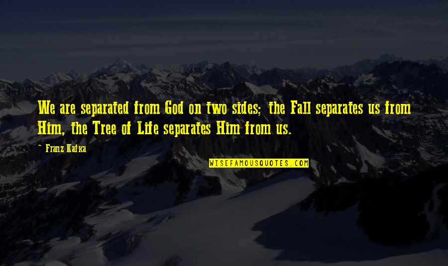 Turgeon Raine Quotes By Franz Kafka: We are separated from God on two sides;