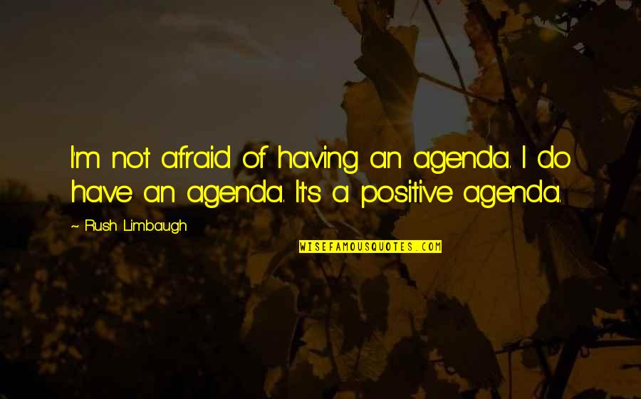Turkana Boy Quotes By Rush Limbaugh: I'm not afraid of having an agenda. I