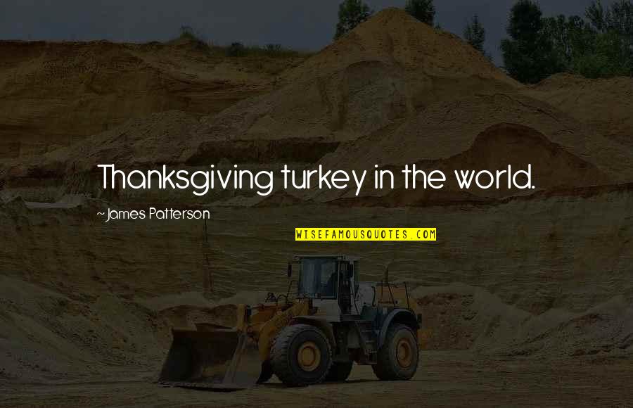 Turkey On Thanksgiving Quotes By James Patterson: Thanksgiving turkey in the world.