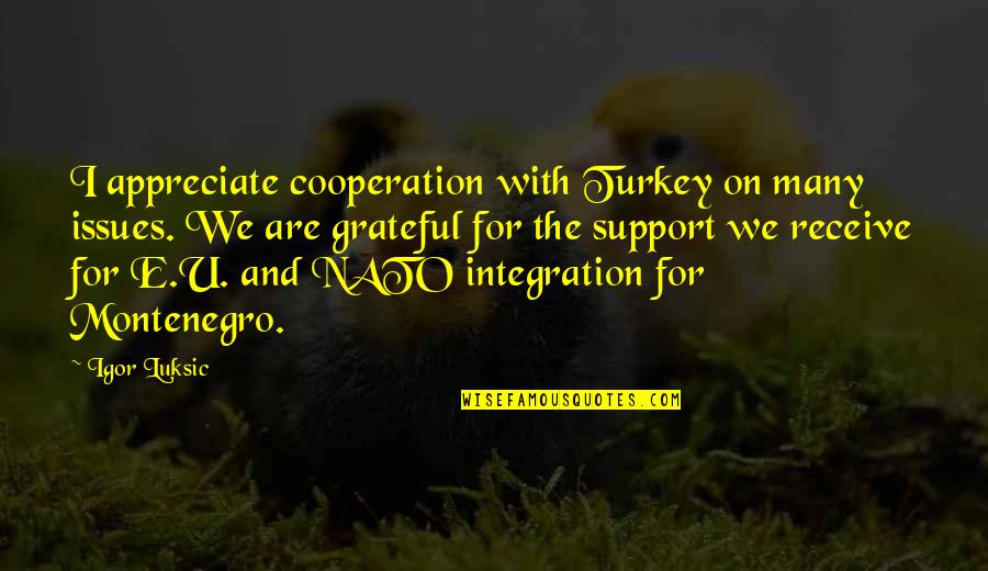 Turkey Quotes By Igor Luksic: I appreciate cooperation with Turkey on many issues.