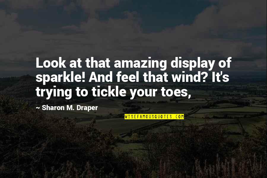 Turlupine Quotes By Sharon M. Draper: Look at that amazing display of sparkle! And Turlupine Quotes By Sharon M. Draper: Look at that amazing display of sparkle! And