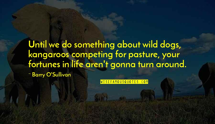 Turn Around Your Life Quotes By Barry O'Sullivan: Until we do something about wild dogs, kangaroos