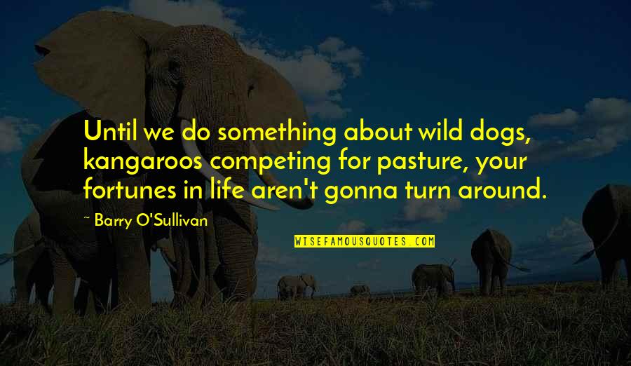 Turn Around Your Life Quotes By Barry O'Sullivan: Until we do something about wild dogs, kangaroos Turn Around Your Life Quotes By Barry O'Sullivan: Until we do something about wild dogs, kangaroos
