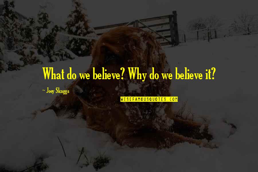 Turn Back In Life Quotes By Joey Skaggs: What do we believe? Why do we believe