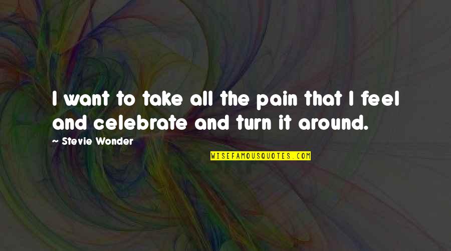 Turn It All Around Quotes By Stevie Wonder: I want to take all the pain that