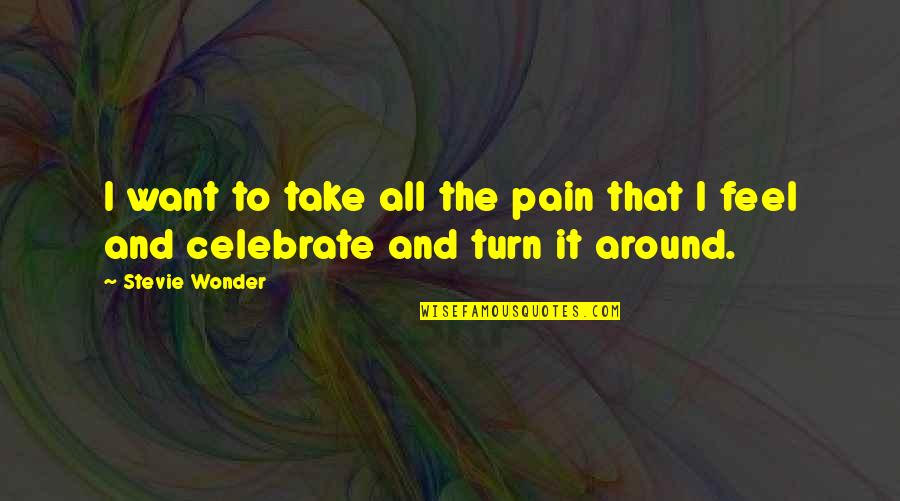 Turn It Around Quotes By Stevie Wonder: I want to take all the pain that