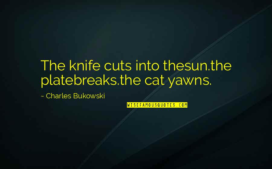 Turn Nerves Into Excitement Quote Quotes By Charles Bukowski: The knife cuts into thesun.the platebreaks.the cat yawns.