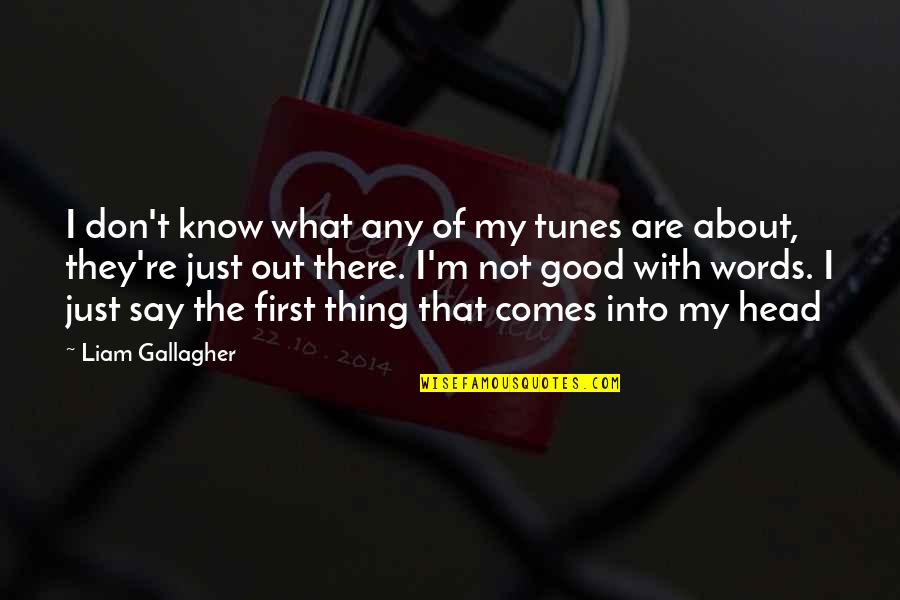 Turn Your Pain Into Purpose Quotes By Liam Gallagher: I don't know what any of my tunes Turn Your Pain Into Purpose Quotes By Liam Gallagher: I don't know what any of my tunes