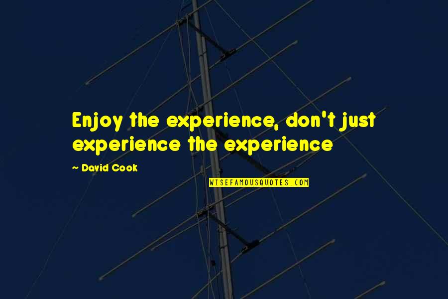 Turnarounds Quotes By David Cook: Enjoy the experience, don't just experience the experience