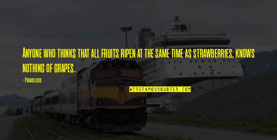 Turnbow Cabin Quotes By Paracelsus: Anyone who thinks that all fruits ripen at Turnbow Cabin Quotes By Paracelsus: Anyone who thinks that all fruits ripen at