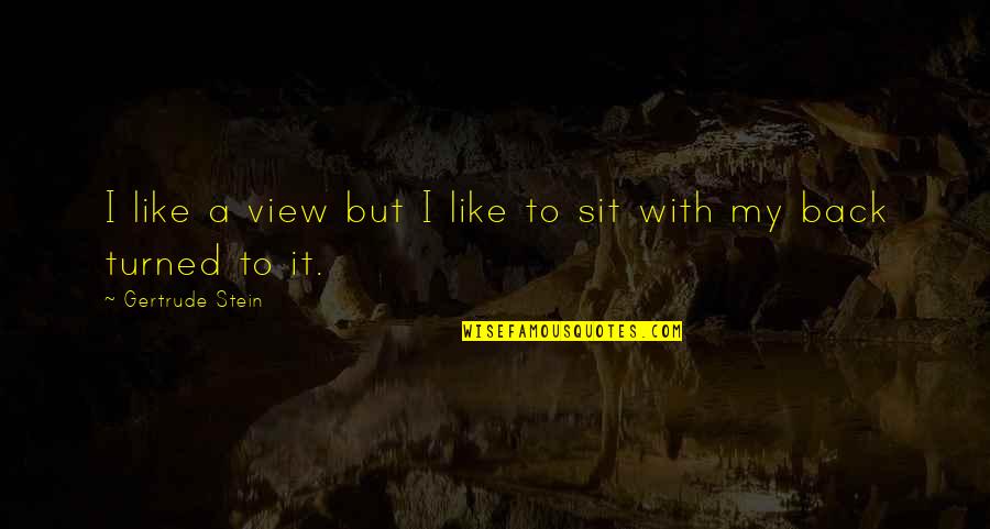 Turned Quotes By Gertrude Stein: I like a view but I like to