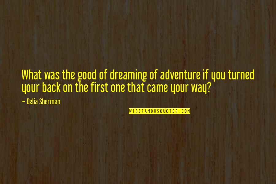 Turned Their Back Quotes By Delia Sherman: What was the good of dreaming of adventure Turned Their Back Quotes By Delia Sherman: What was the good of dreaming of adventure