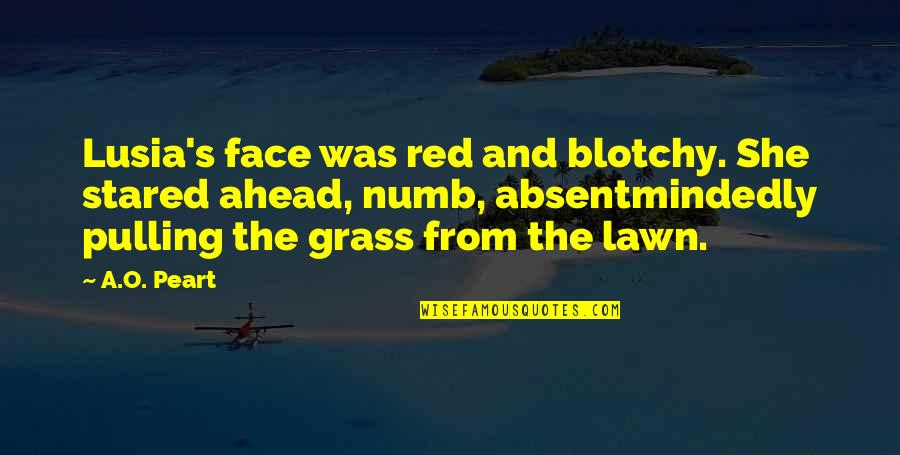 Turning 4 Birthday Quotes By A.O. Peart: Lusia's face was red and blotchy. She stared