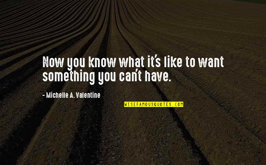 Turning 45 Quotes By Michelle A. Valentine: Now you know what it's like to want
