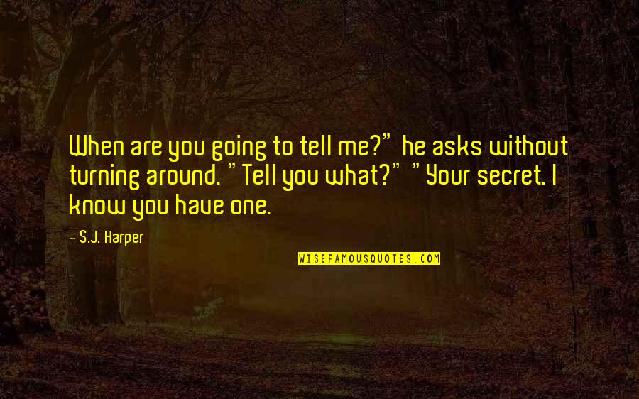 Turning Around Quotes By S.J. Harper: When are you going to tell me?" he