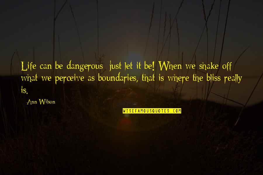 Turning Your Back On Love Quotes By Ann Wilson: Life can be dangerous; just let it be!