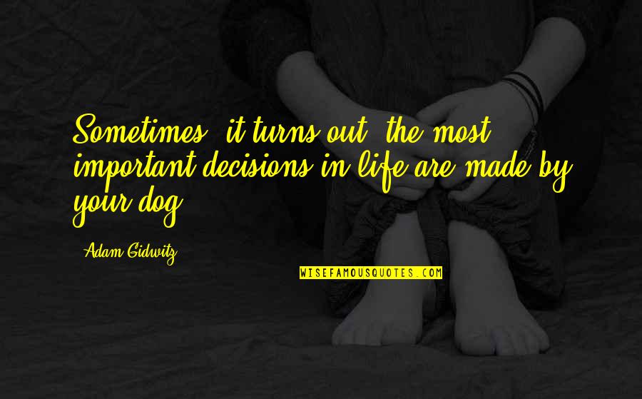 Turns In Your Life Quotes By Adam Gidwitz: Sometimes, it turns out, the most important decisions