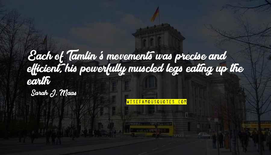 Tursun Pashai Quotes By Sarah J. Maas: Each of Tamlin's movements was precise and efficient,
