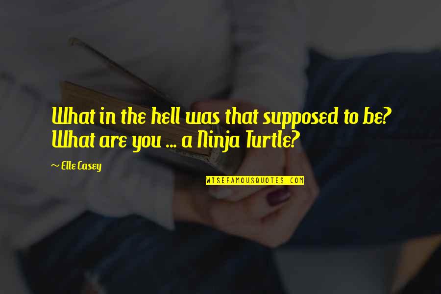 Turtle Ninja Quotes By Elle Casey: What in the hell was that supposed to