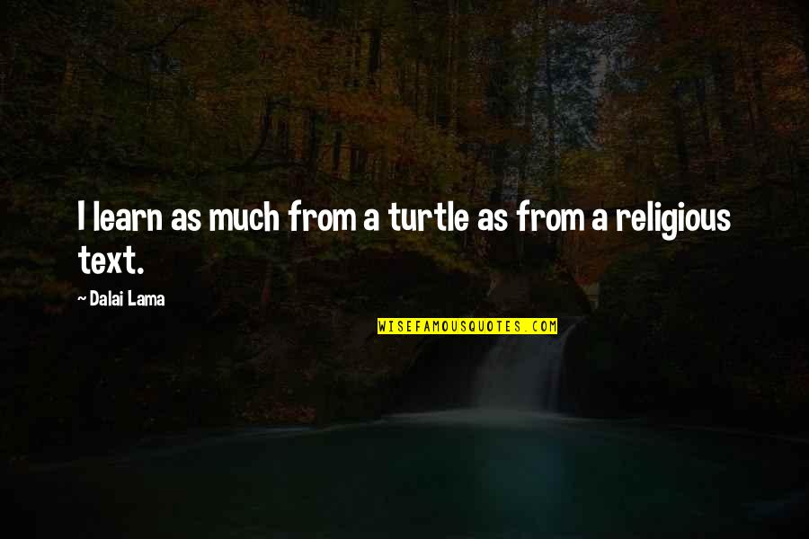 Turtles And Quotes By Dalai Lama: I learn as much from a turtle as