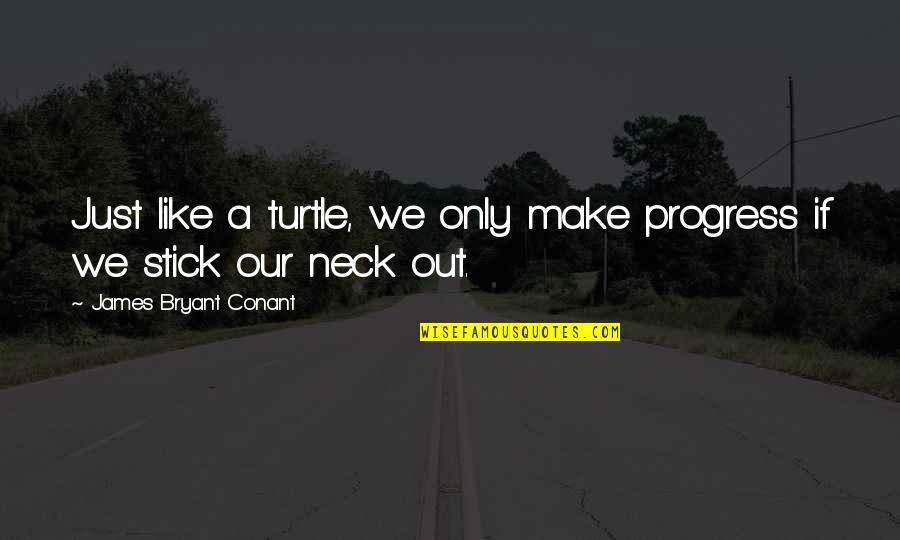 Turtles And Quotes By James Bryant Conant: Just like a turtle, we only make progress