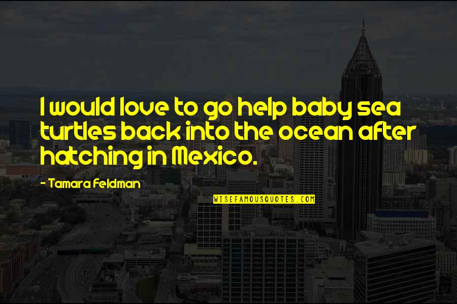 Turtles And Quotes By Tamara Feldman: I would love to go help baby sea