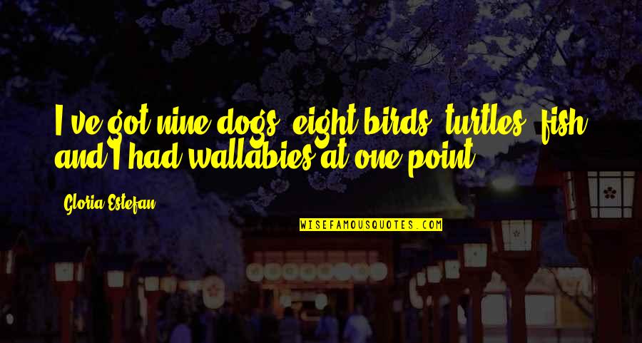 Turtles Quotes By Gloria Estefan: I've got nine dogs, eight birds, turtles, fish