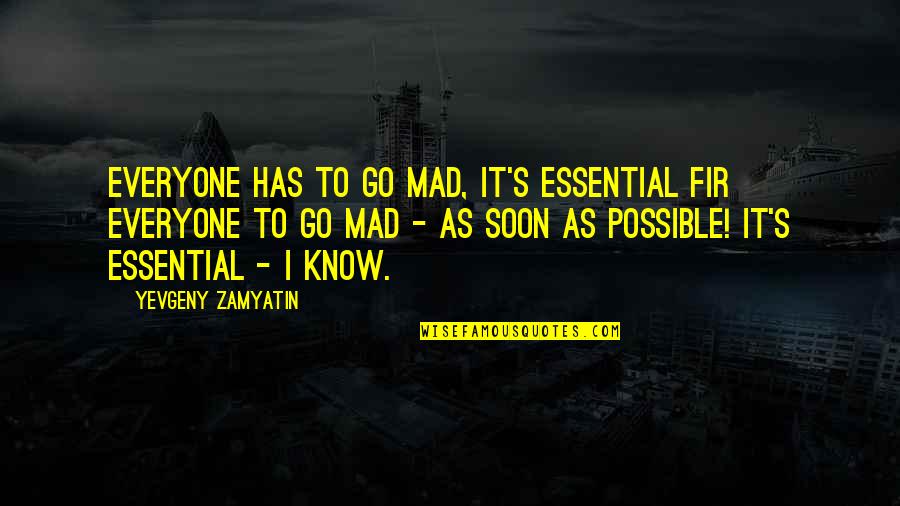 Tusekia Quotes By Yevgeny Zamyatin: Everyone has to go mad, it's essential fir Tusekia Quotes By Yevgeny Zamyatin: Everyone has to go mad, it's essential fir