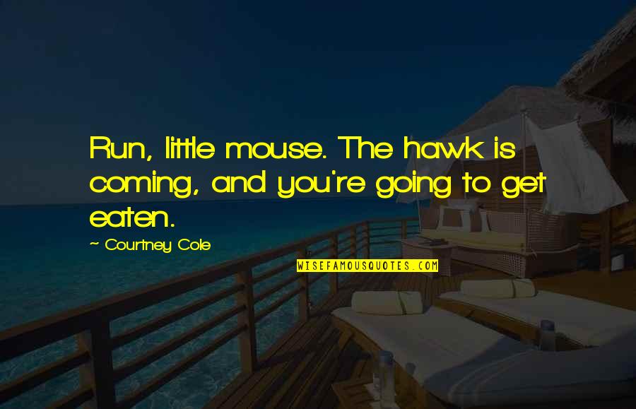 Tusher Quotes By Courtney Cole: Run, little mouse. The hawk is coming, and