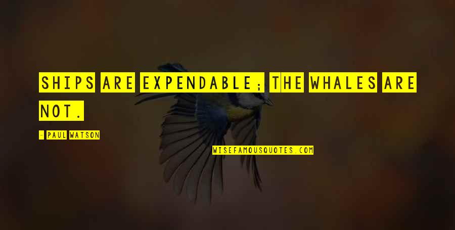 Tutored Alexander Quotes By Paul Watson: Ships are expendable; the whales are not. Tutored Alexander Quotes By Paul Watson: Ships are expendable; the whales are not.
