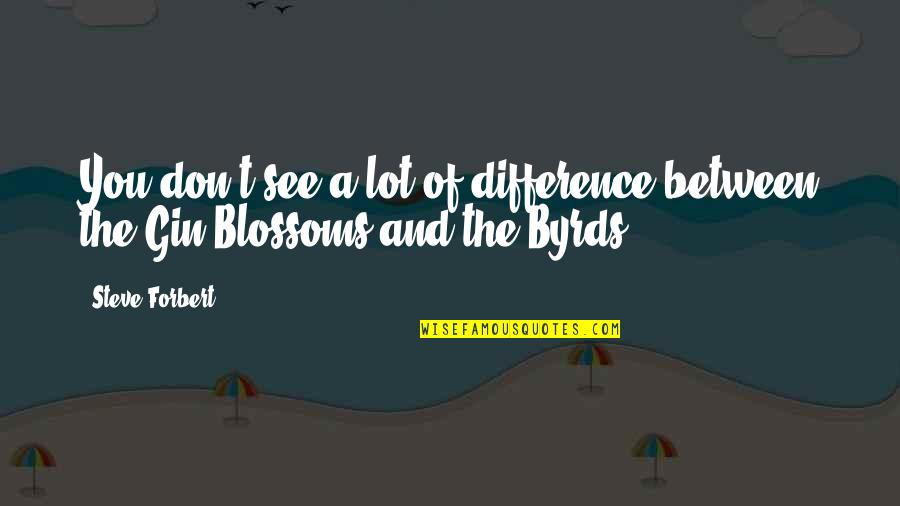 Tutup Usia Quotes By Steve Forbert: You don't see a lot of difference between