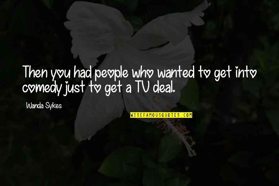 Tv Comedy Quotes By Wanda Sykes: Then you had people who wanted to get