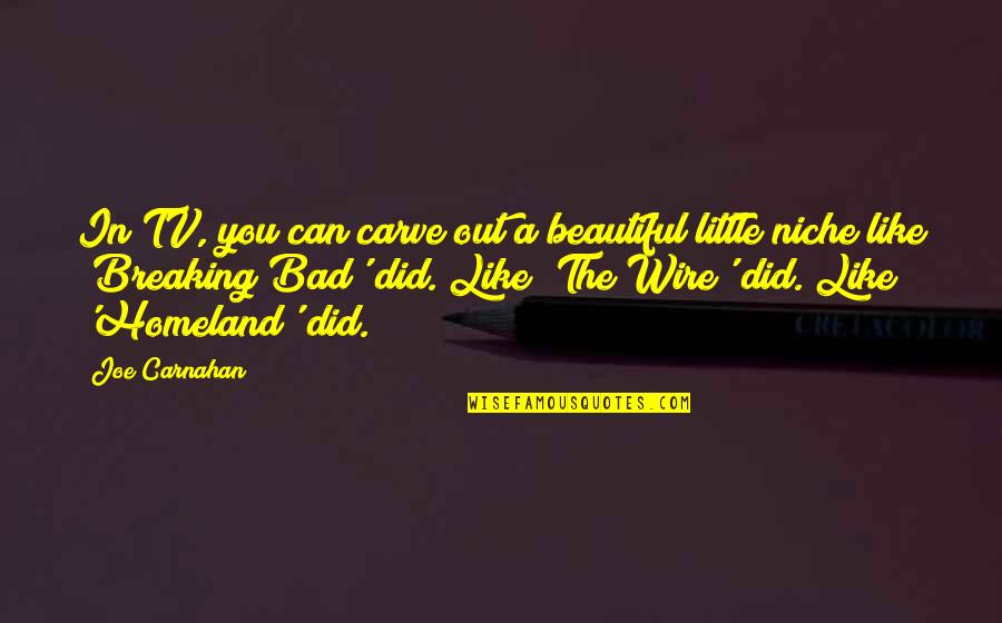 Tv Is Bad Quotes By Joe Carnahan: In TV, you can carve out a beautiful Tv Is Bad Quotes By Joe Carnahan: In TV, you can carve out a beautiful