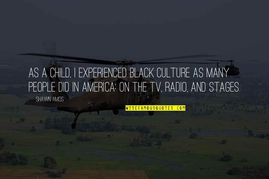 Tv On The Radio Quotes By Shawn Amos: As a child, I experienced black culture as